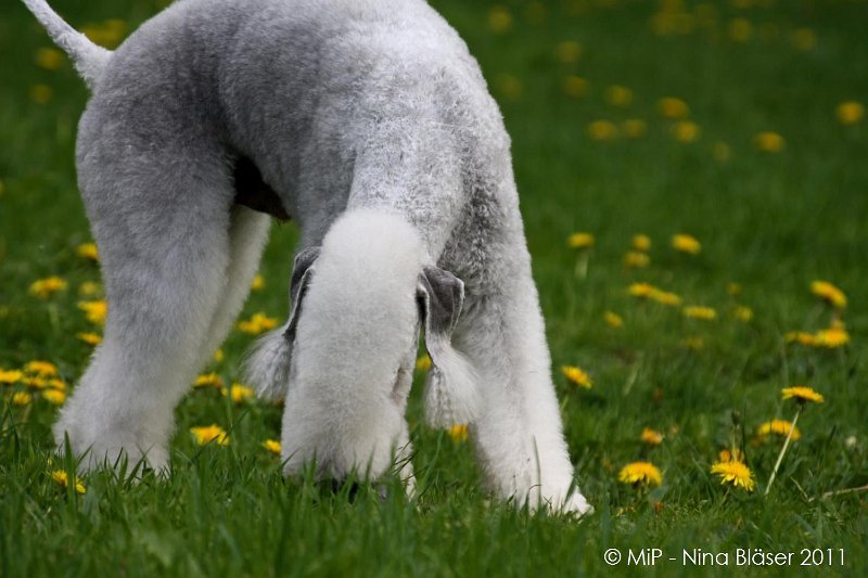 2011-04-23 Quincy etc (17).jpg